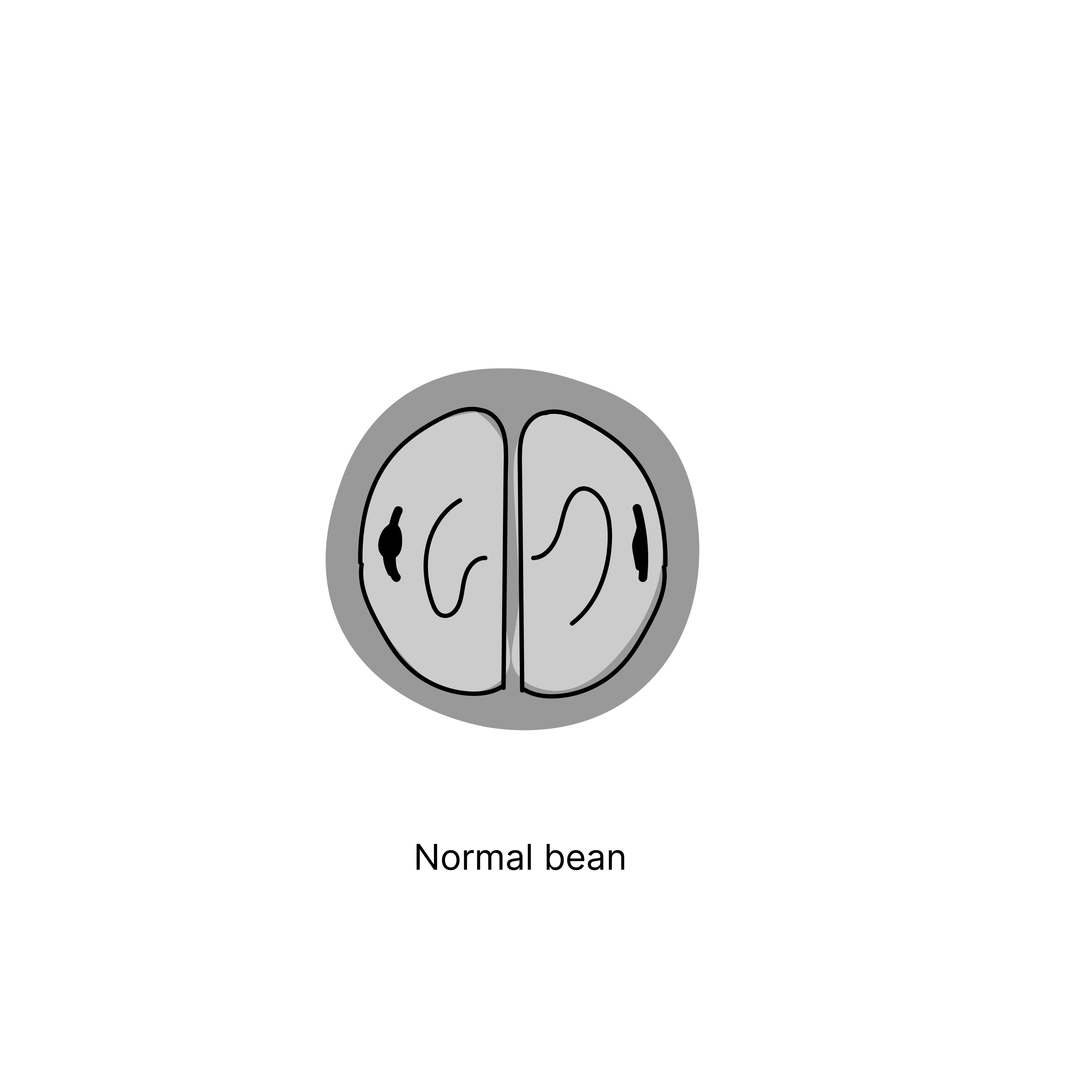 anomalien mit text-01.png__PID:6fd81da5-78be-4ca6-83e6-b8ae03a3f161