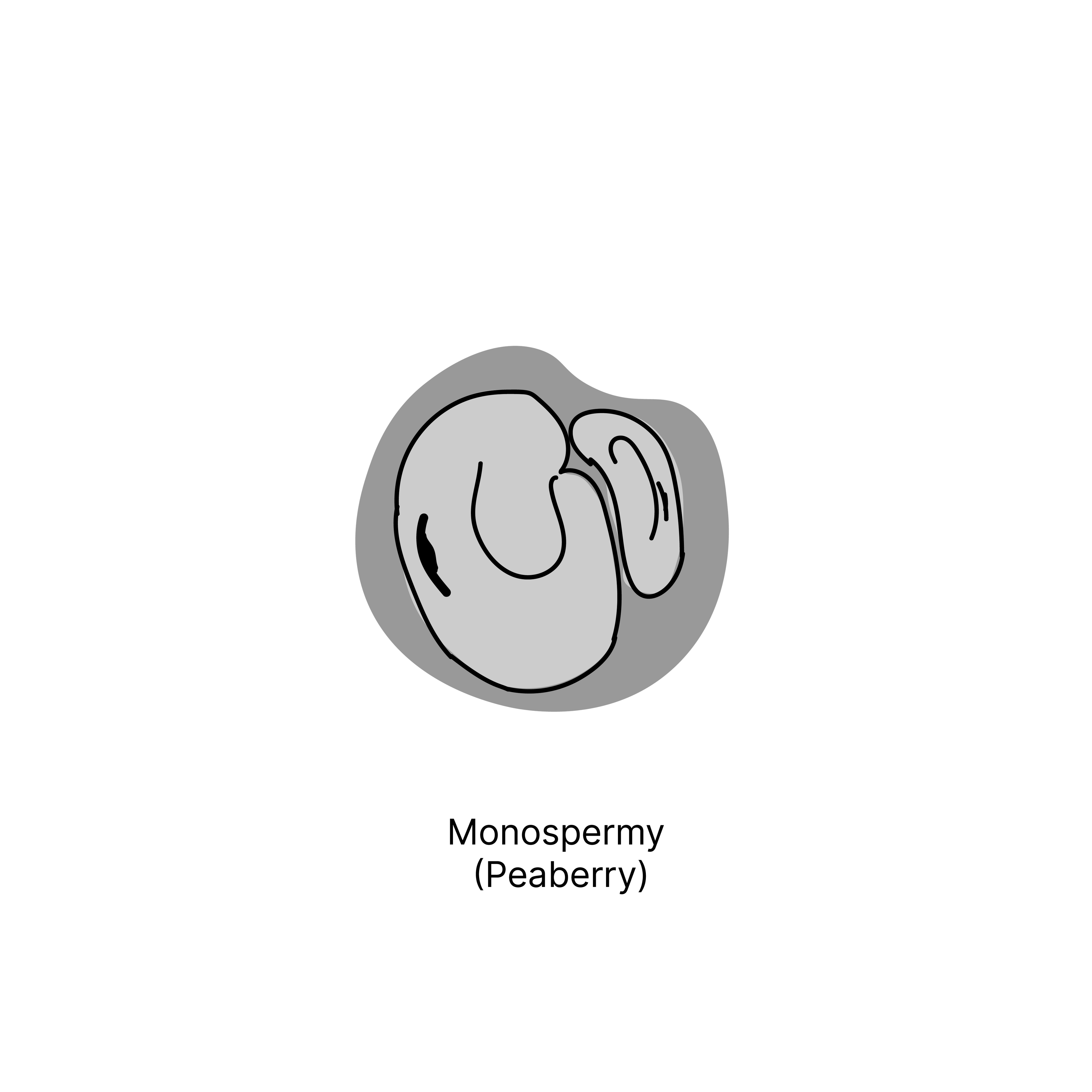 anomalien mit text-02.png__PID:1da578be-cca6-43e6-b8ae-03a3f161f591