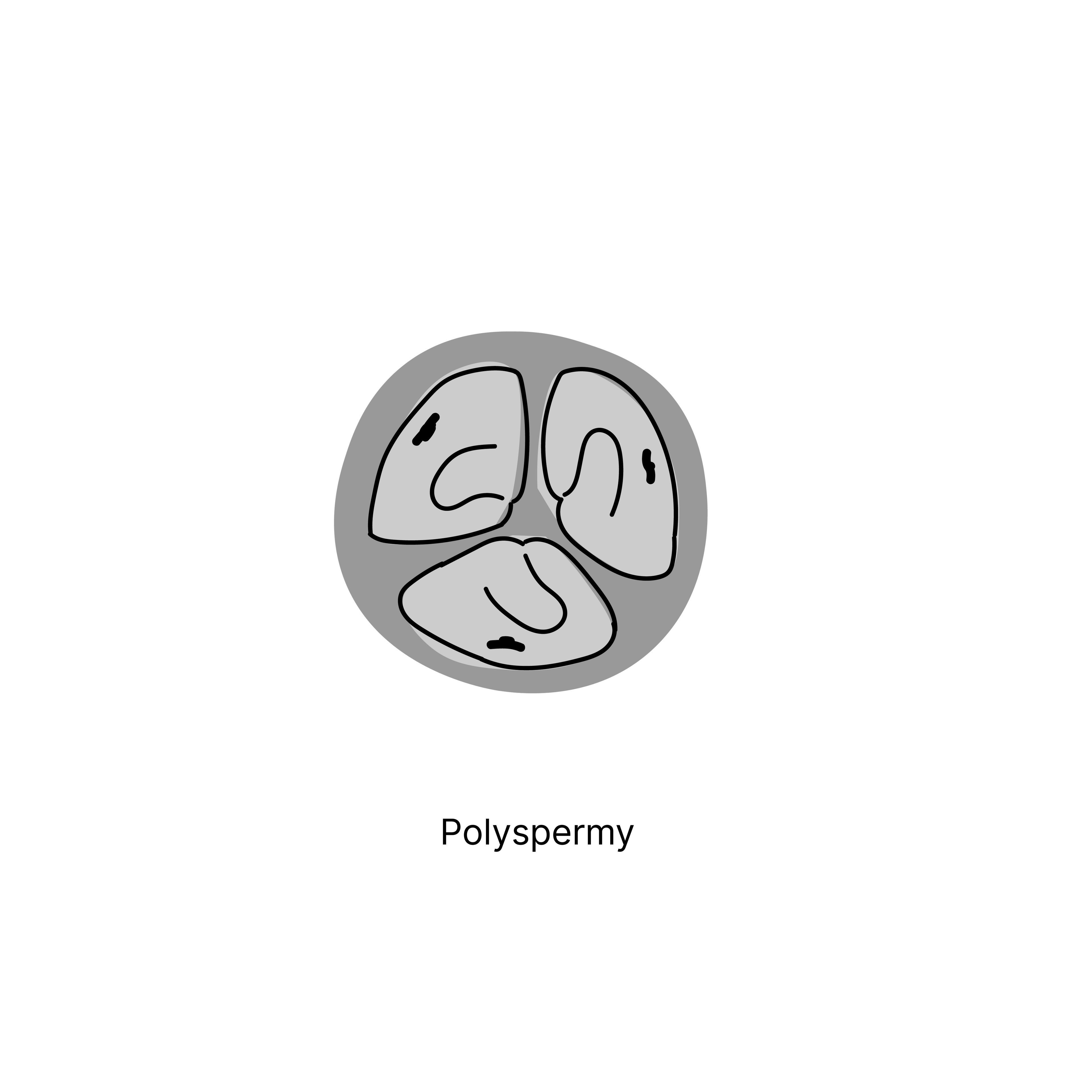 anomalien mit text-03.png__PID:a6c3e6b8-ae03-43f1-a1f5-919932a741da