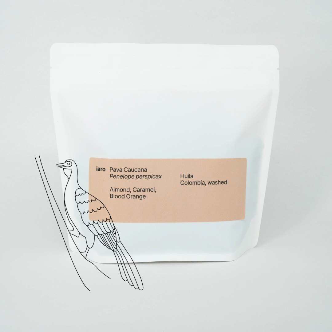 A white bag of specialty coffee beans  named after an endagered bird species: pava caucana. A minimalist of a bird of said species is also featured in the shot.