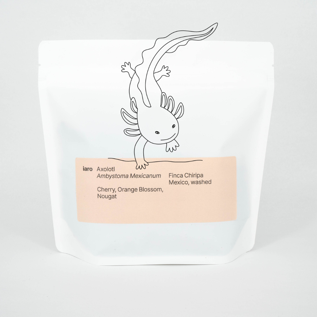 A white bag of specialty coffee from Mexico named Axolotl overlayed with a minimalist illustration of said animal.