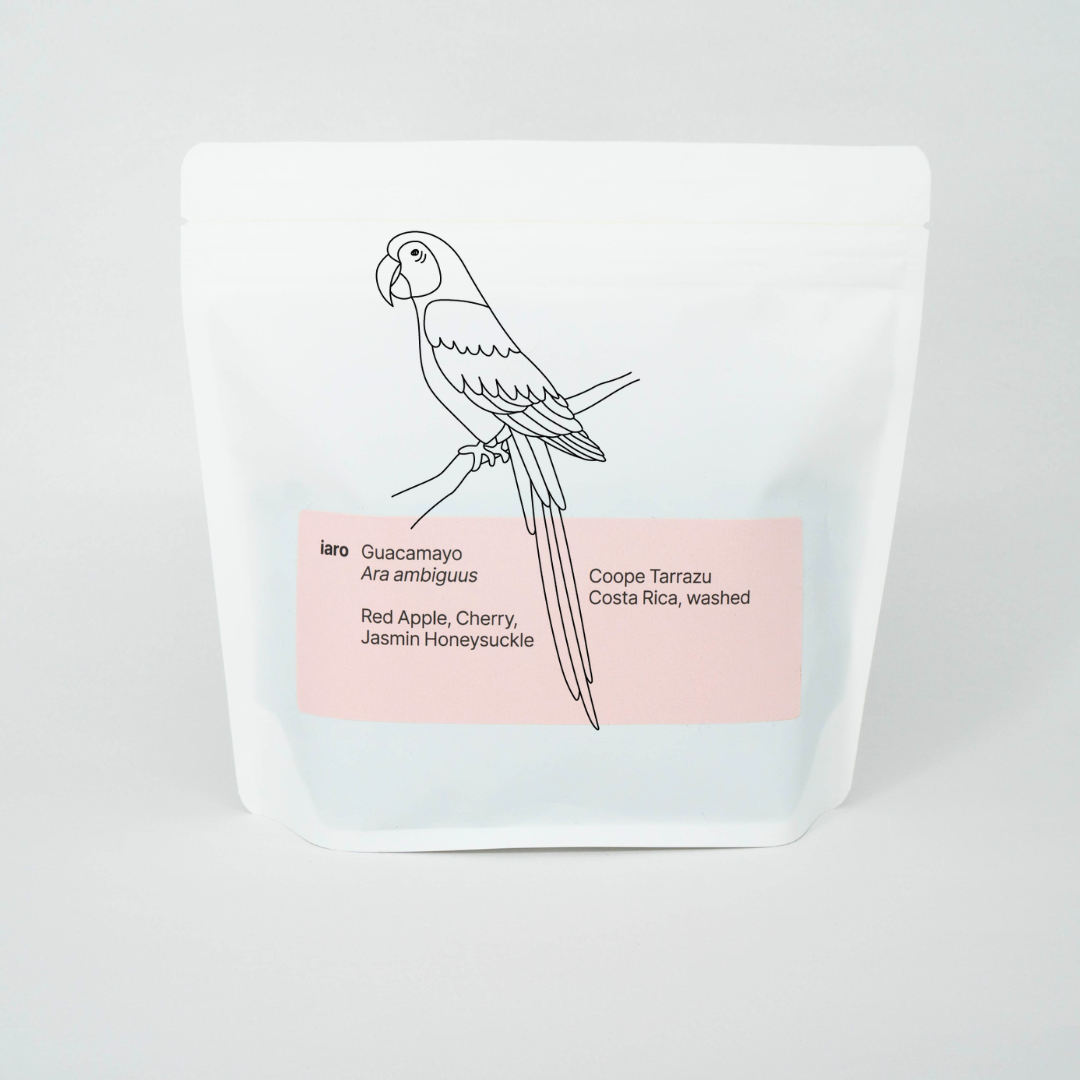 A white bag of specialty coffee beans from Costa Rica named after the parrot species Guacamayo, overlayed with a simple lineart illustration of one of these parrots