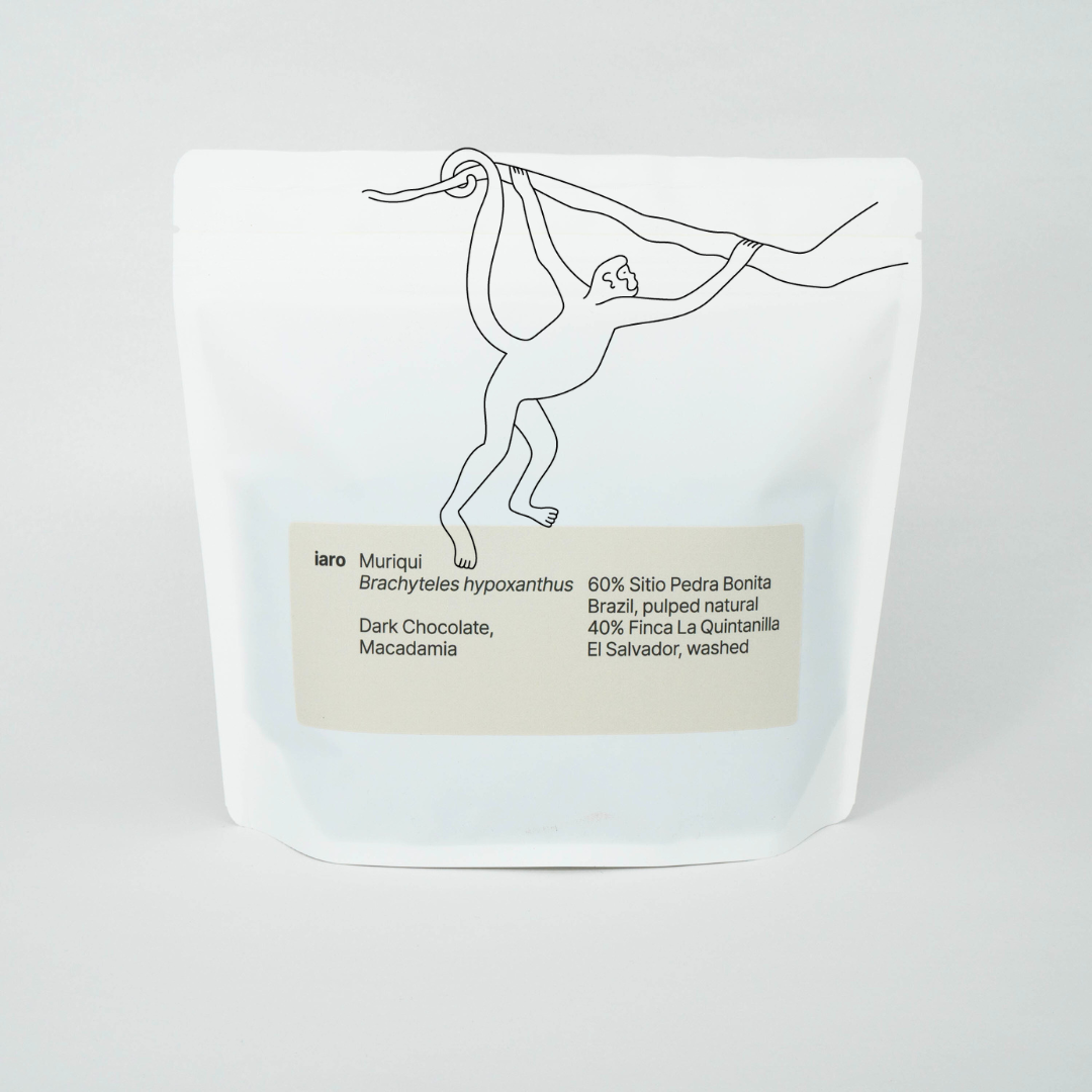 A white bag of specialty coffee that goes by the name Muriqui, referring to the endangered monkey Species. An simple linework illustration is layed overtop the white bag.