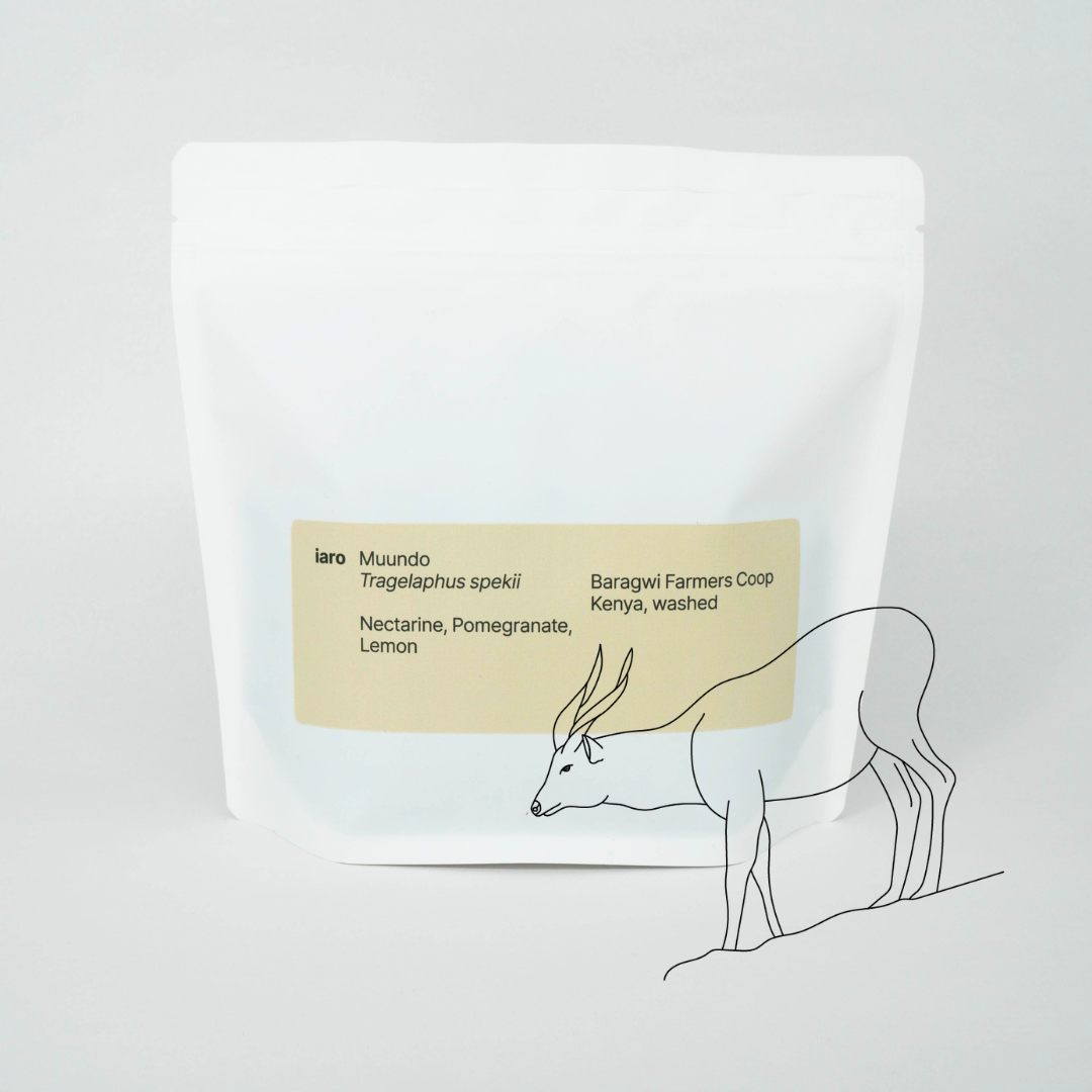 A minimalist white bag of specialty beans named Muundo after the tragelaphus spekii. It is overlayed with an illustration of said animal.