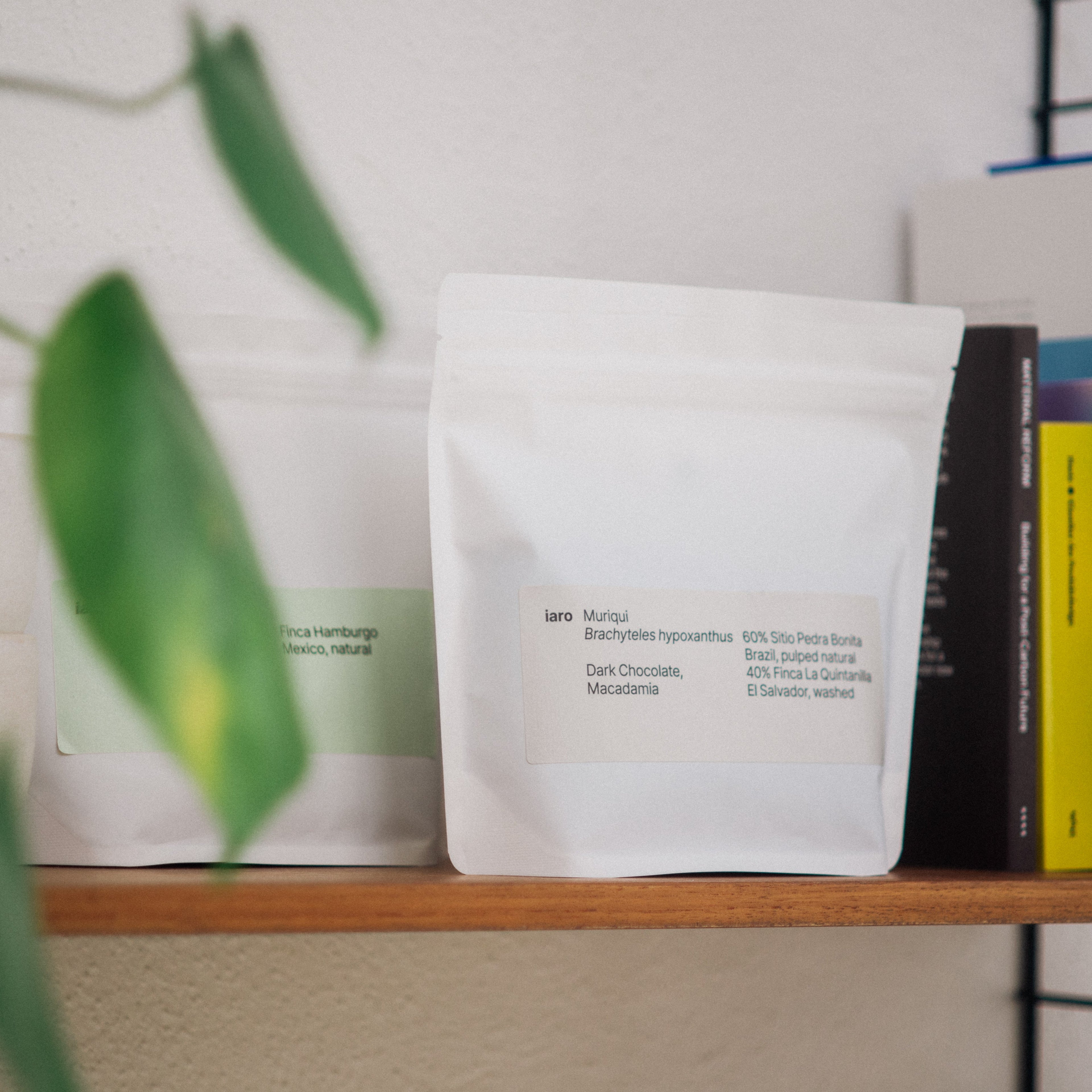 A bag iaro Muriqui beans and Coqueta Decaf standing on a wooden shelve next to a few books.