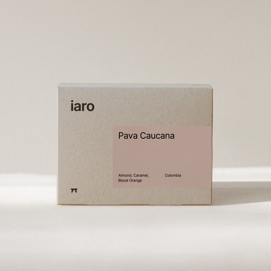 Pava Caucana