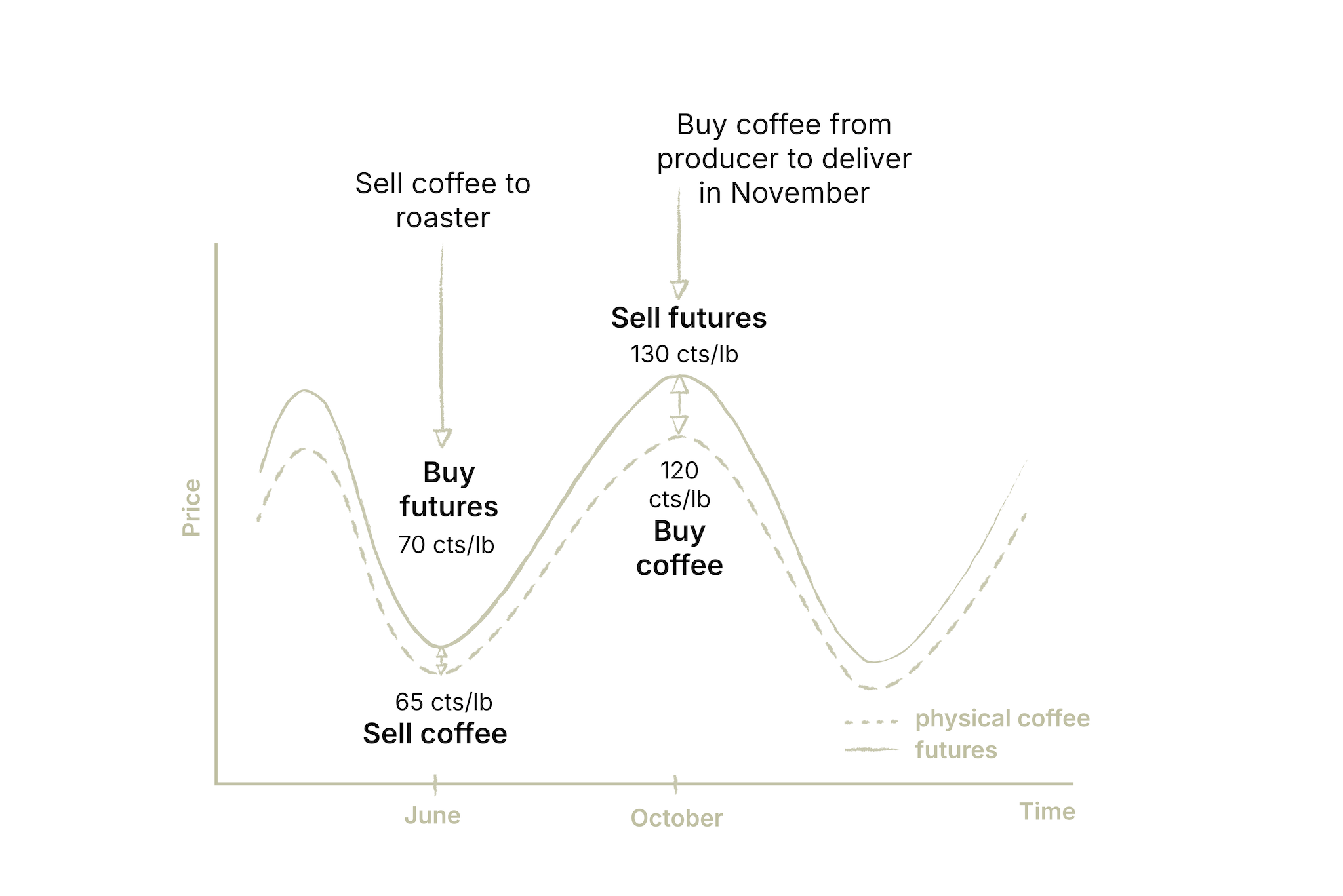 The graph with time on the x- and price on the y-axis shows the fluctuation of coffee prices and their corresponding futures throughout the year.