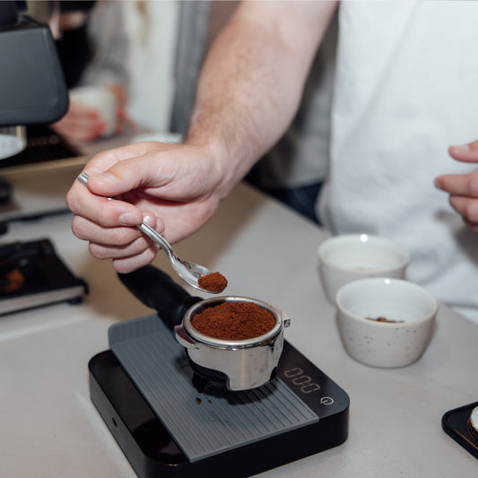 Barista Workshop