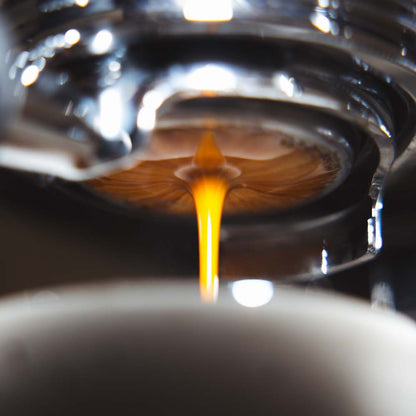 Barista Workshop Giftcard