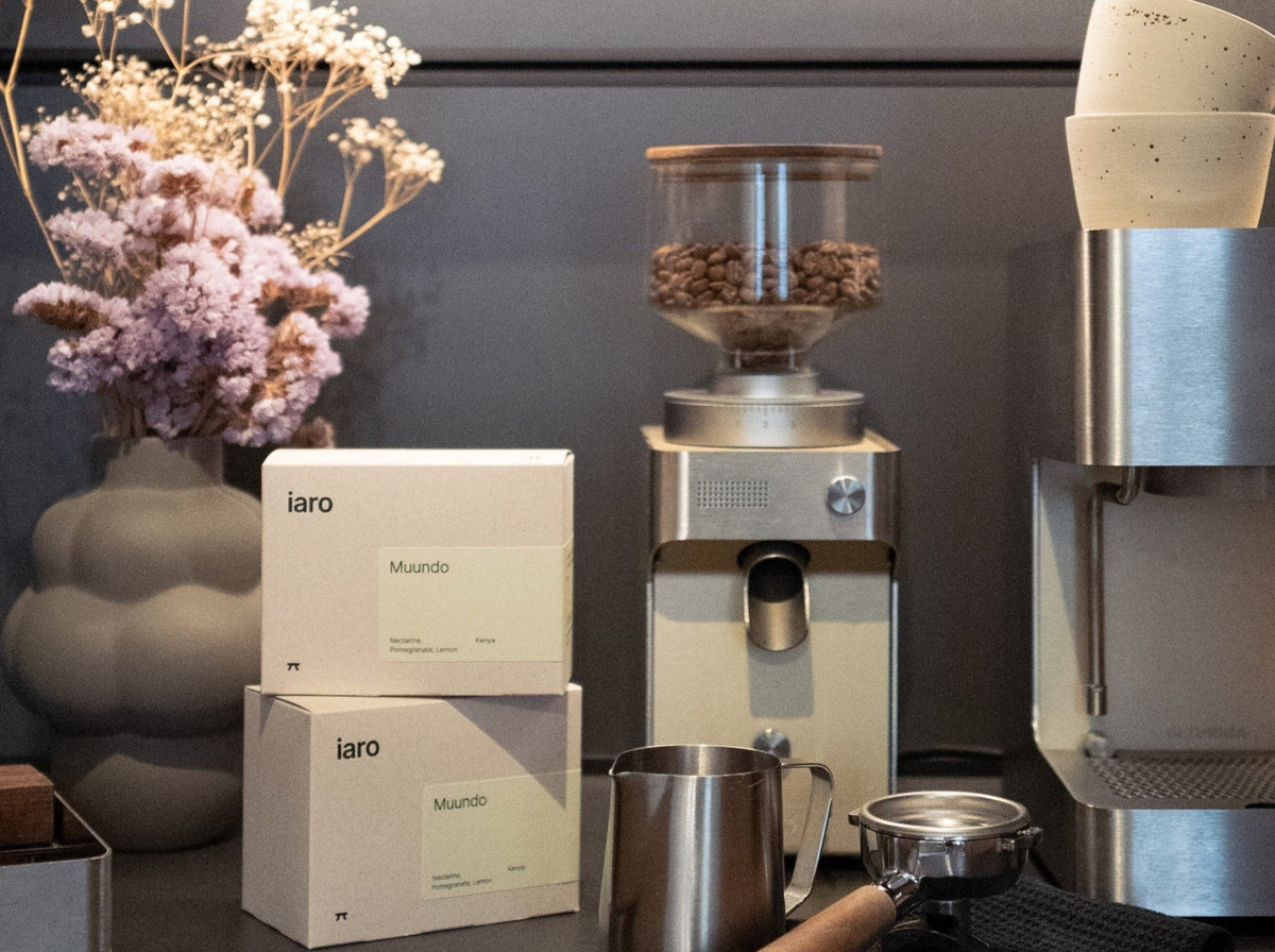 iaro - we are roaster, bakers, hosts and guides