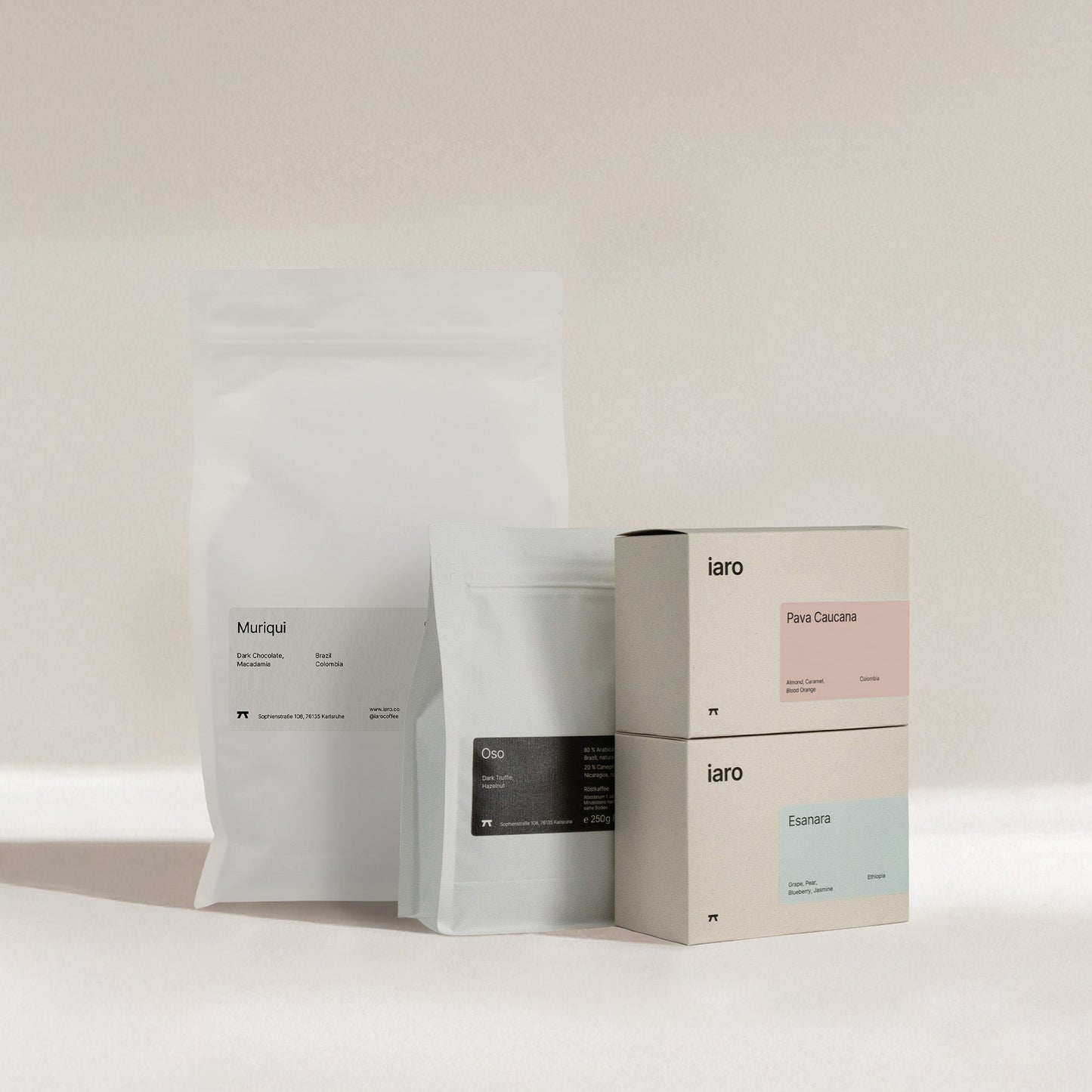 Christmas Aficionado Set